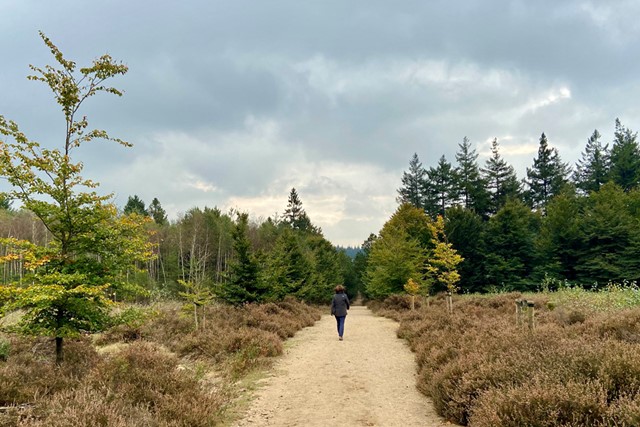 afbeelding van een vrouw op een zandpad in de natuur.