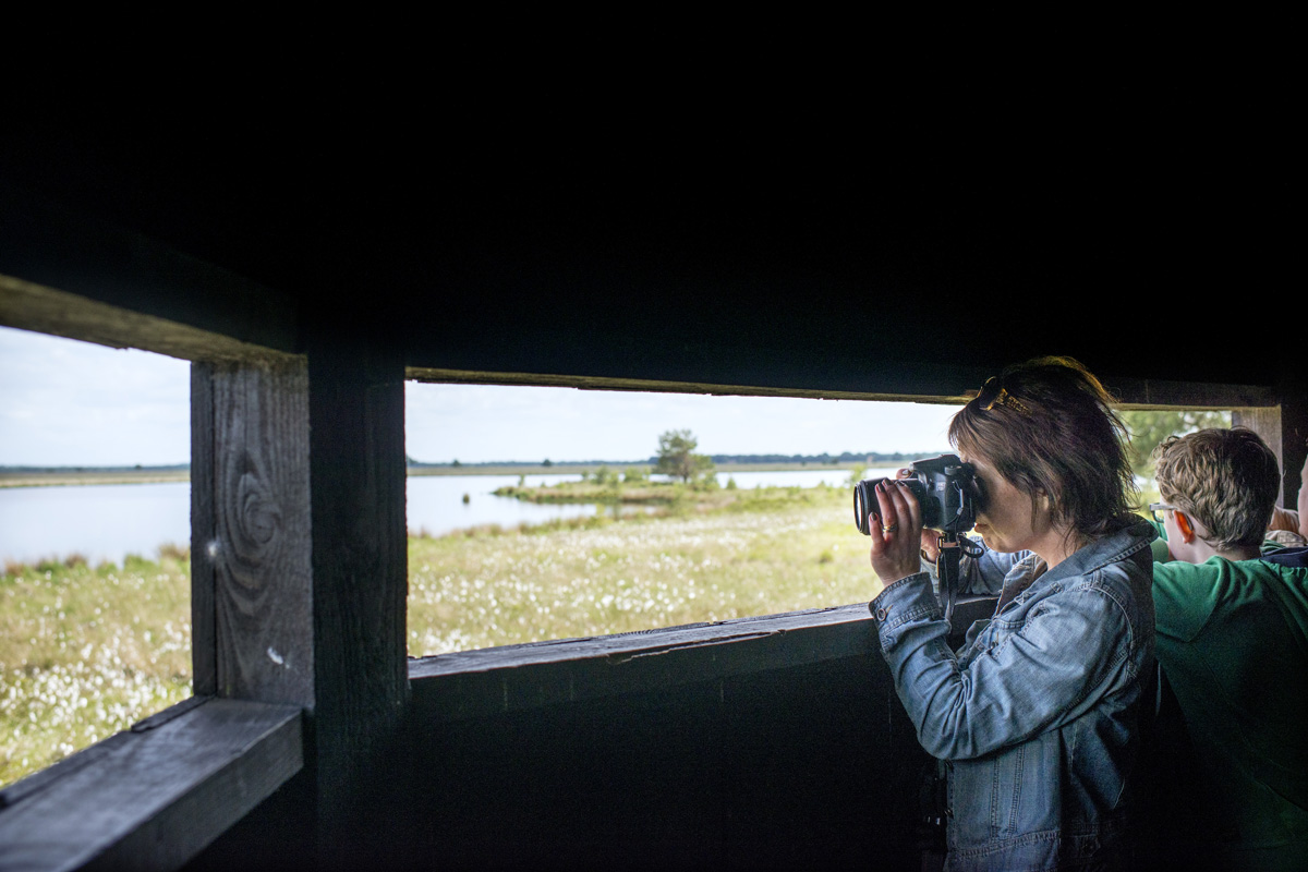 afbeelding van een wandelaar die foto's maakt vanuit de vogelkijkhut.