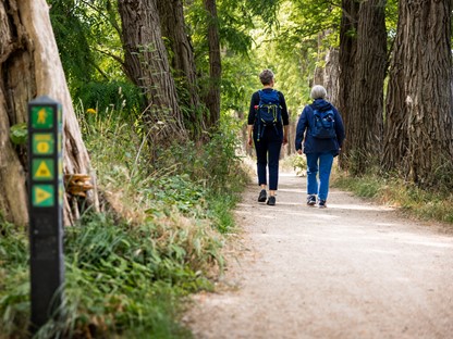 Ontdek het echte Brabant met 3 themawandelingen: wandelaars in Goirle