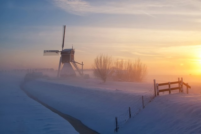 7x Bijzondere natuurverschijnselen in de winter: mist