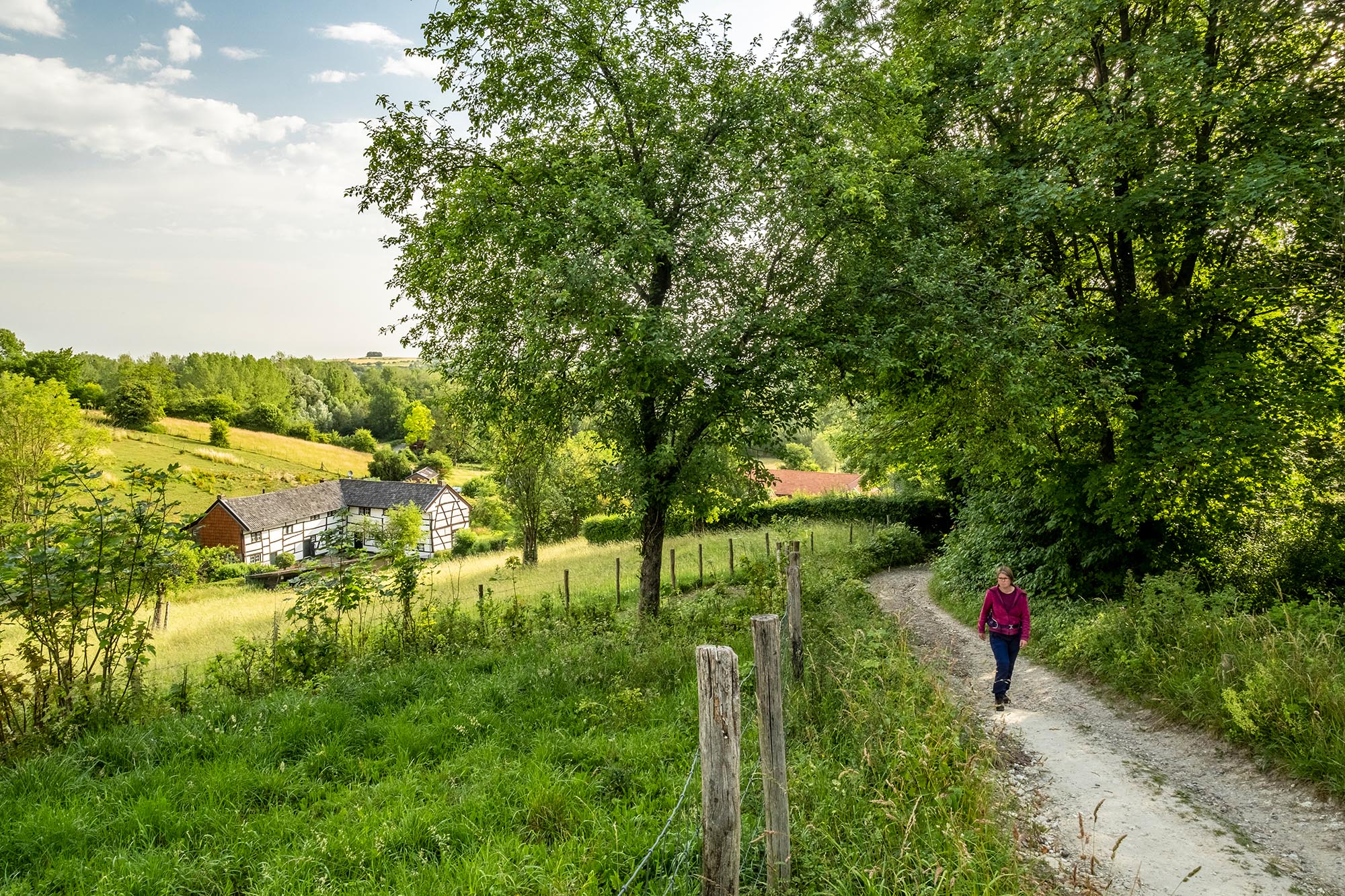 175 Km Aan Nieuw Wandelplezier In Limburg