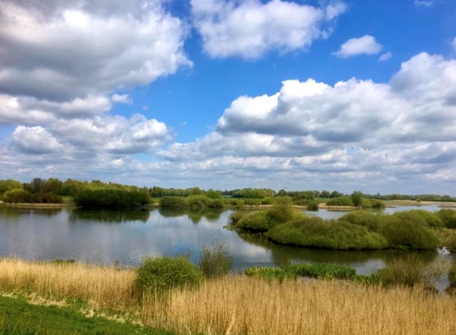 Uiterwaarden bij Zaltbommel
