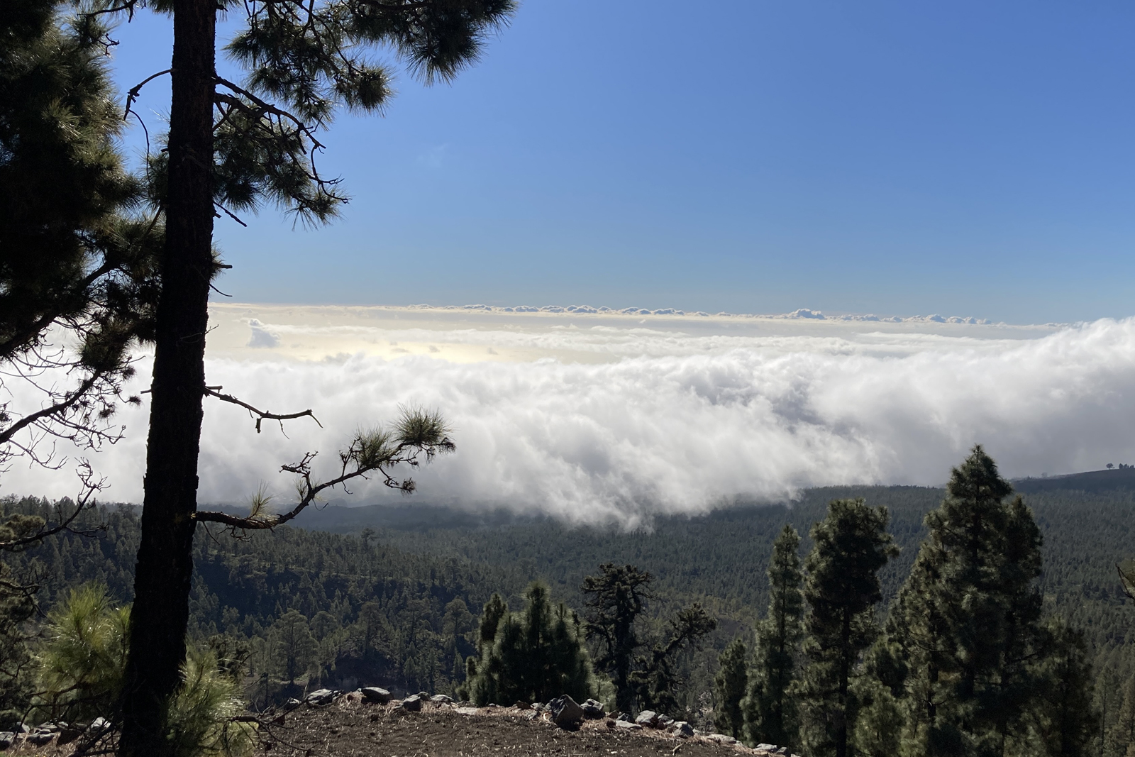 afbeelding van een vergezicht op Tenerife.