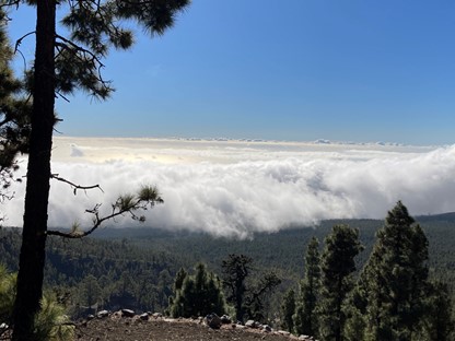 afbeelding van een vergezicht op Tenerife.