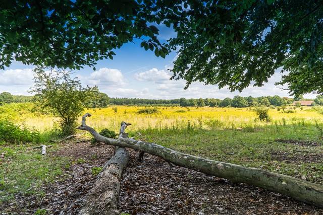 Afbeelding Nationaal Park Utrechtse Heuvelrug
