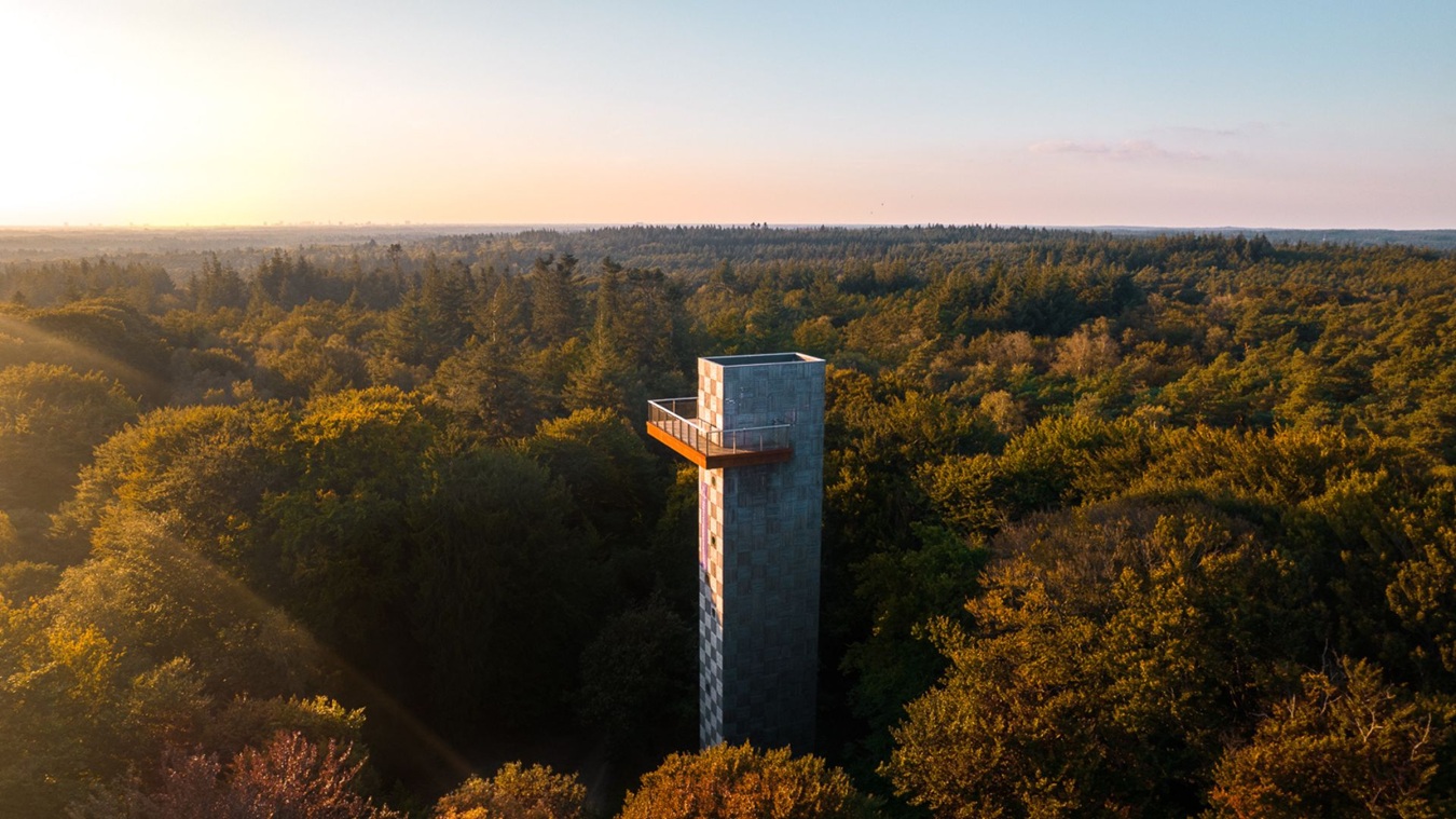 Utrechtse Heuvelrug, uitzichtstoren boven het bos met ondergaande zon