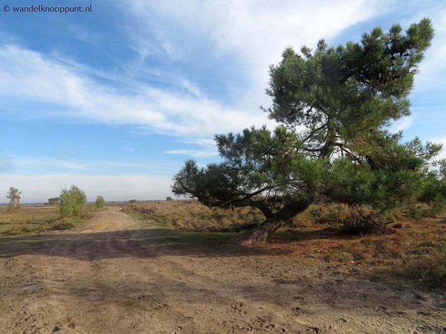 Nationaal Park de Groote Peel