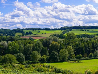 Wandelvakantie Limburg mooiste wandelreizen Nederland