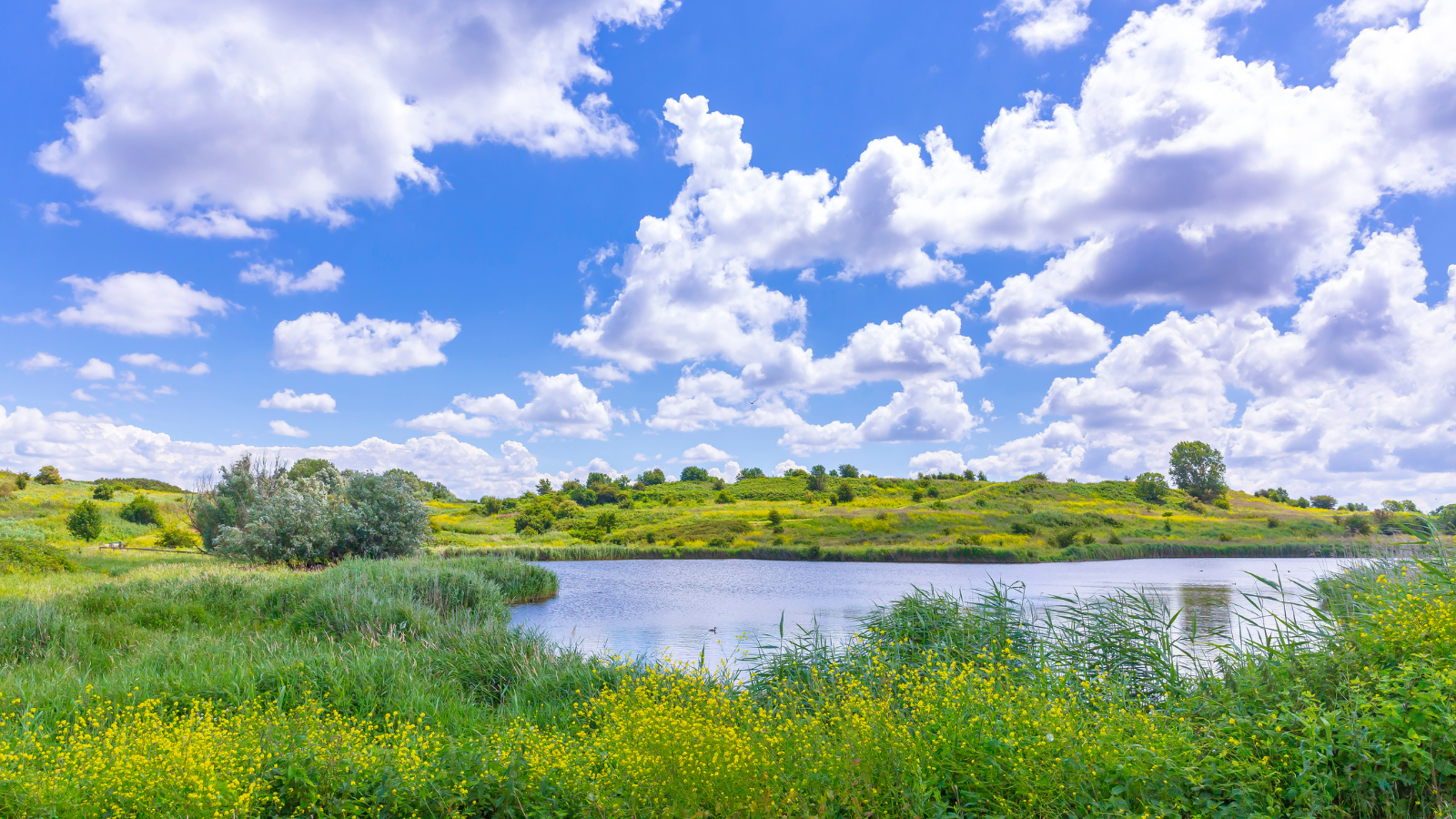 Groene Hartpad Etappe 7 Delft – Zoetermeer