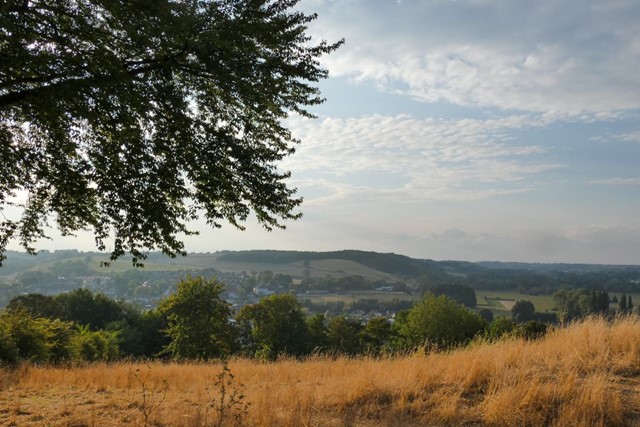 heuvelachtig landschap met dor gras en groene heuvels in de verte.