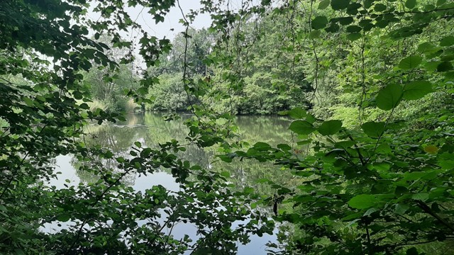 Doorkijkje naar het water in Amelisweerd