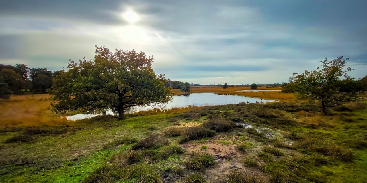 Brabants Vennenpad Een Streekpad Vol Hoogtepunten; Omgeving Kampina