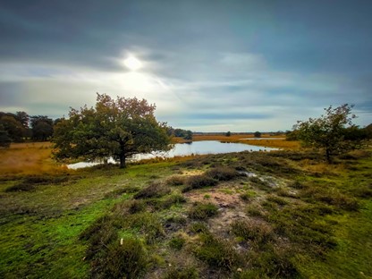 Brabants Vennenpad Een Streekpad Vol Hoogtepunten; Omgeving Kampina