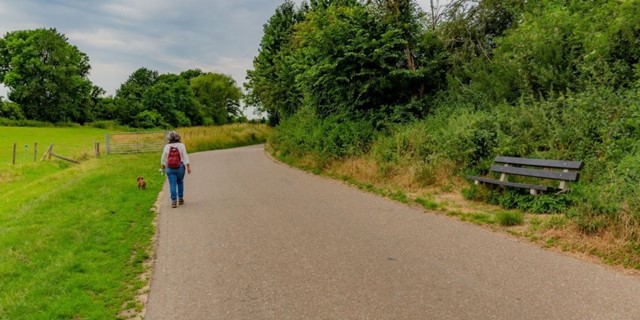 Afbeelding 1 | Aan Welke Kant Van De Weg Kun Je Het Beste Lopen?
