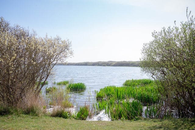 afbeelding van water in de Hors op Texel.