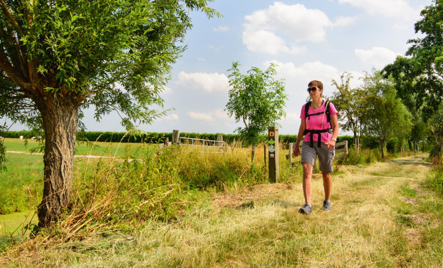 Wandelen over de Utrechtse veenweiden