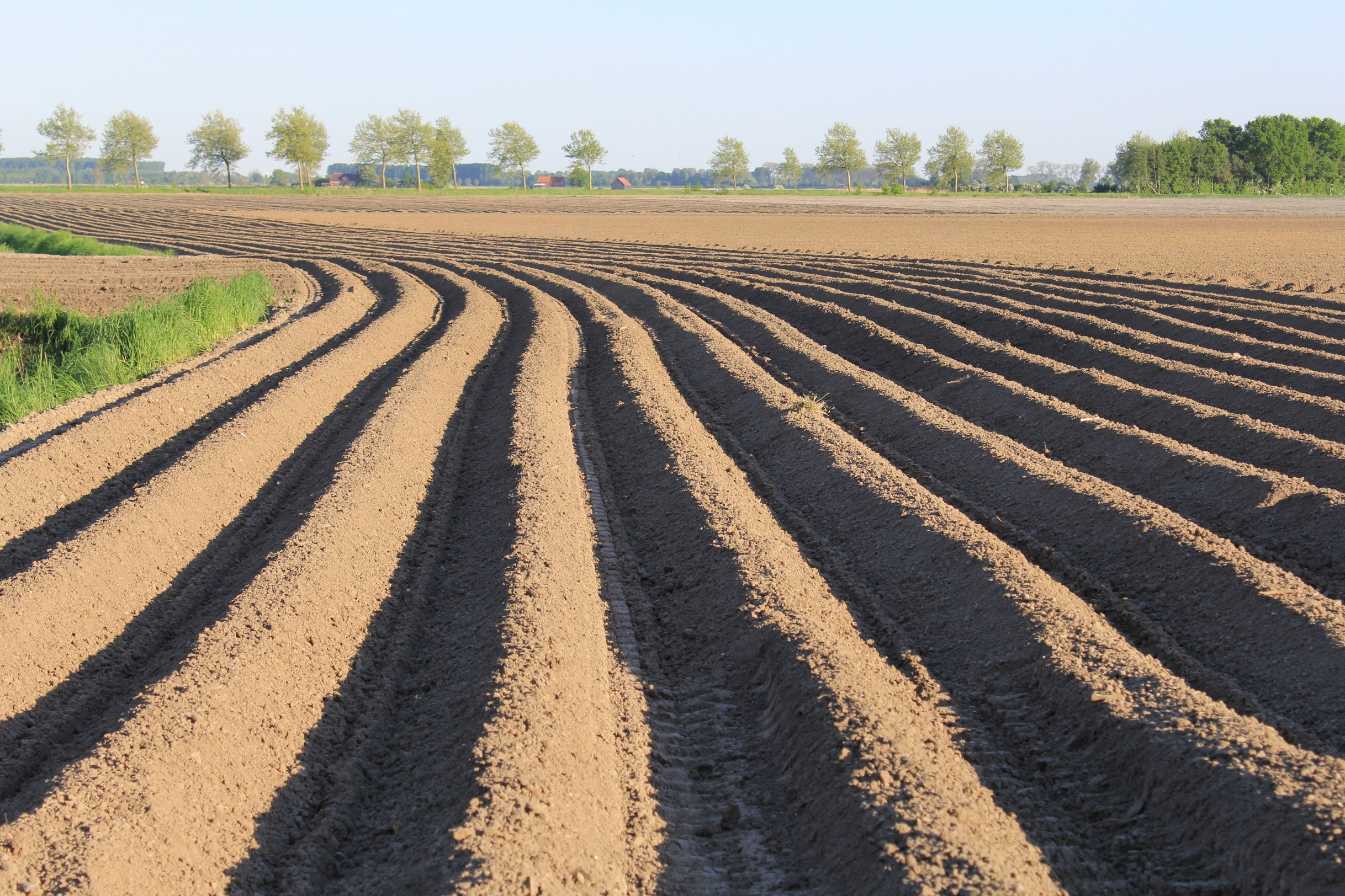 Omgeploegd stuk land