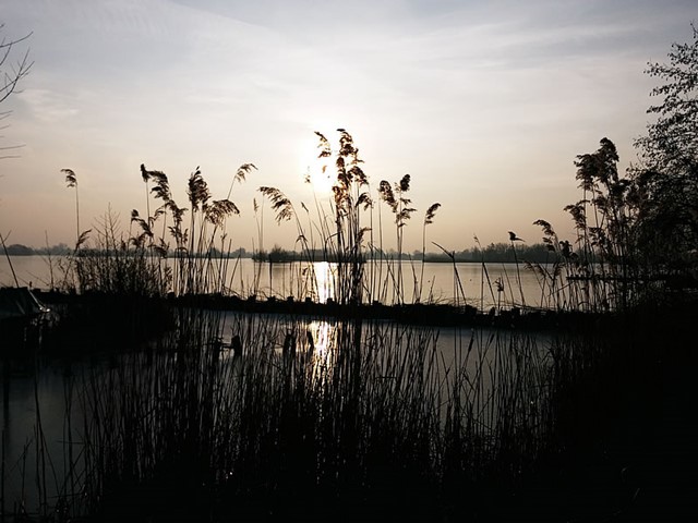 Wandelen rond de Reeuwijkse Plassen