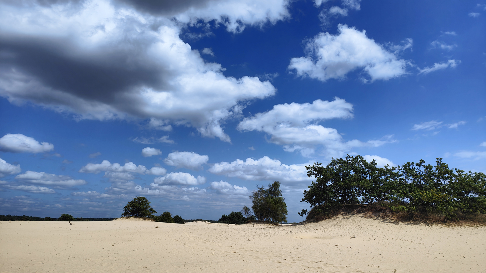wolkenlucht en zandvlakte in de Loonse en Drunense Duinen.
