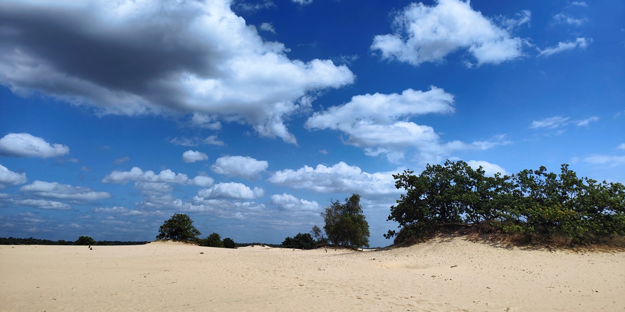 wolkenlucht en zandvlakte in de Loonse en Drunense Duinen.