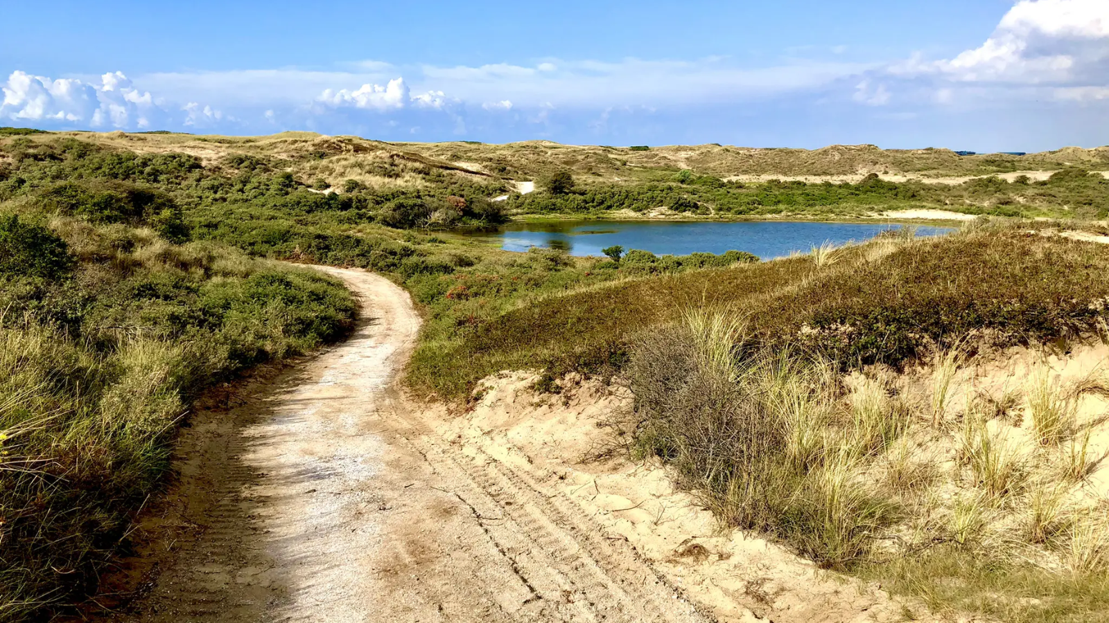 Boswachterspad Zuid Holland Kattukse Duinroute