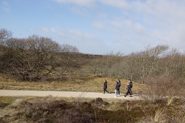 wandelaars op een pad in de duinen van Callantsoog.