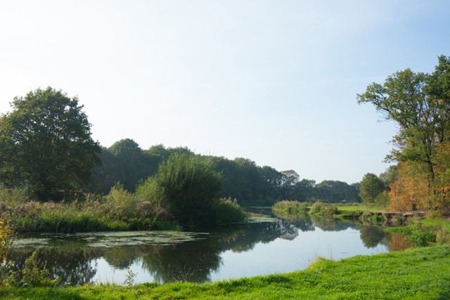 gras, bomen en het water van de rivier in het Reggedal
