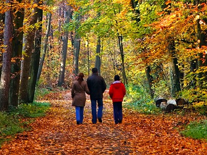 Header | /herfst