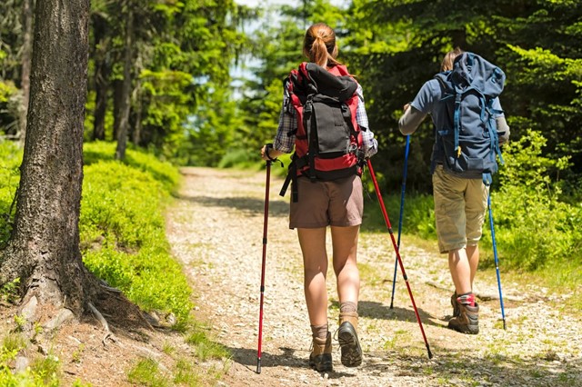 Onmisbare Wandelgadgets Hiermee Ga Je Goed Een Veilig Op Pad: Hiken wandelstokken