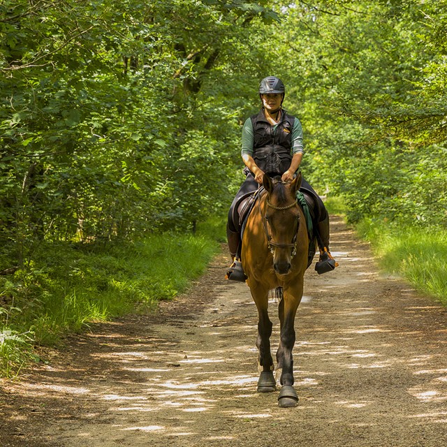 afbeelding van Dewi Bergman te paard.
