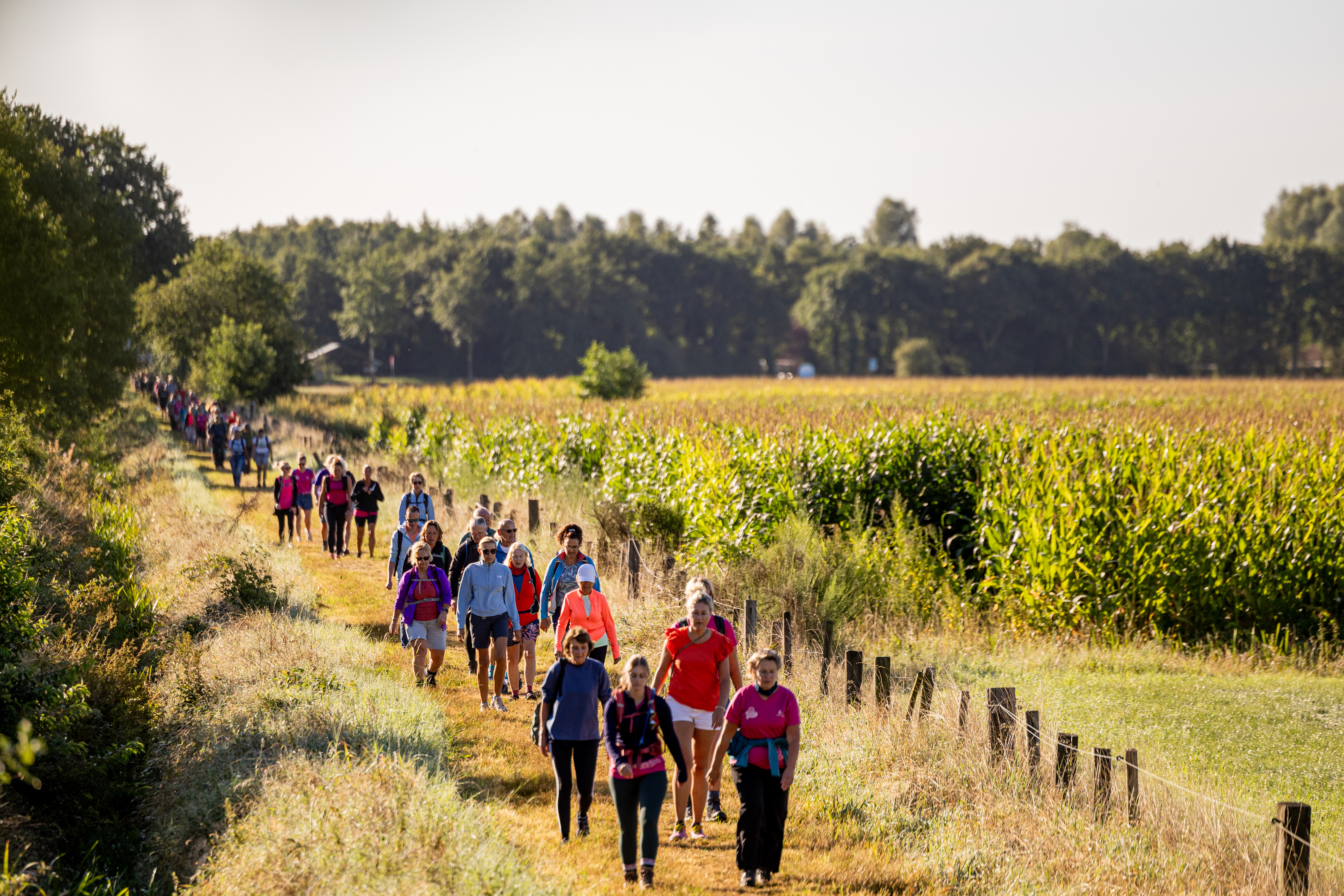 SWW25 ZO BOY HOOGVORST 6191