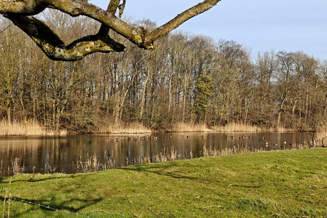Wandelroute Landgoed Oostbroek Parkpad Van Park Naar Moeras