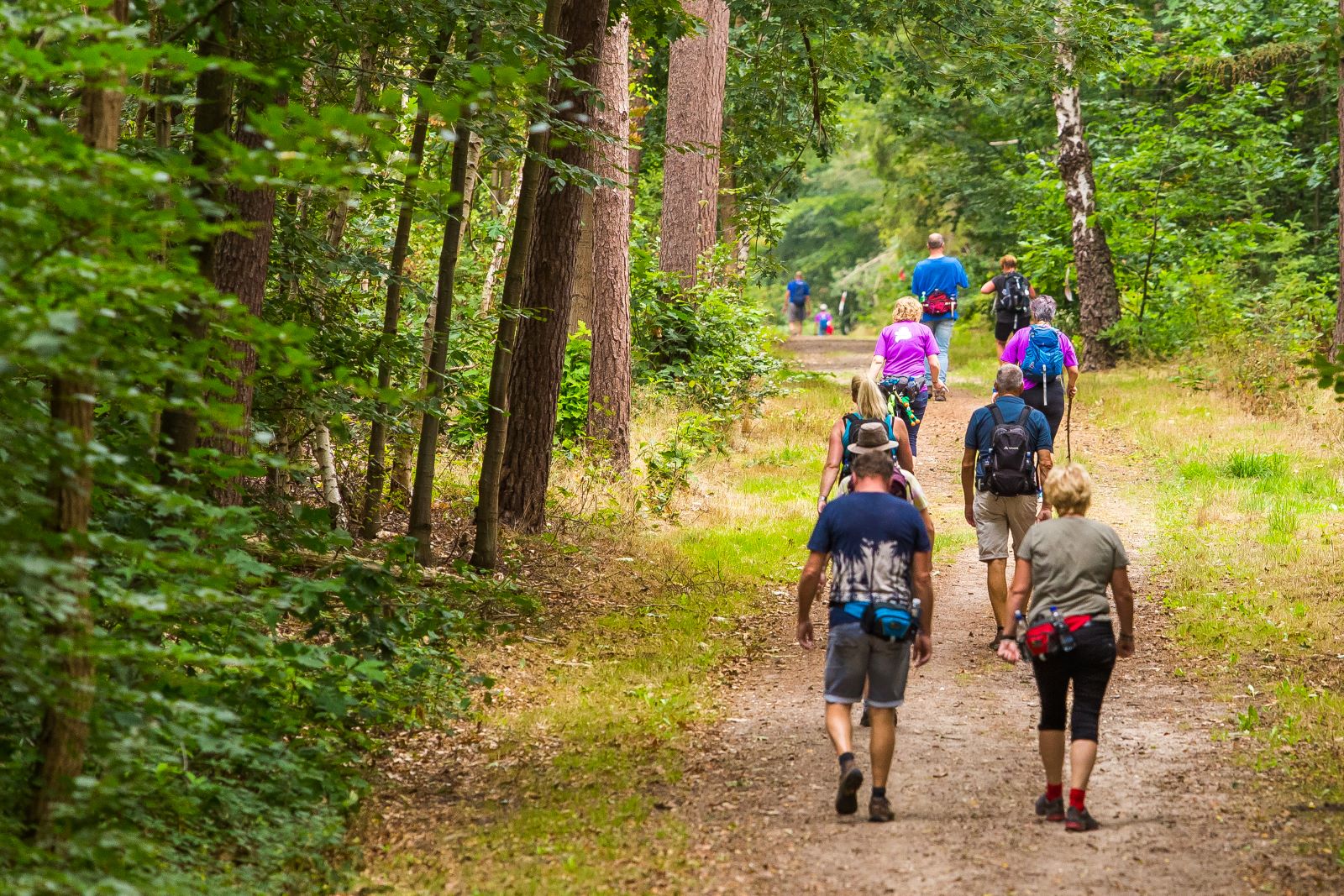 wandelaars in het bos.