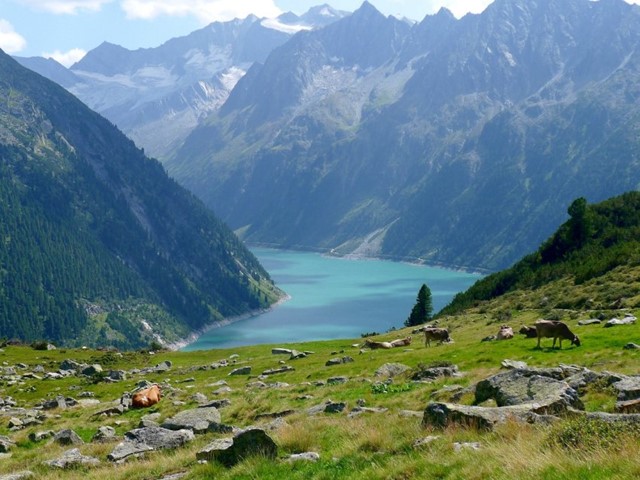 /interhome-tirol