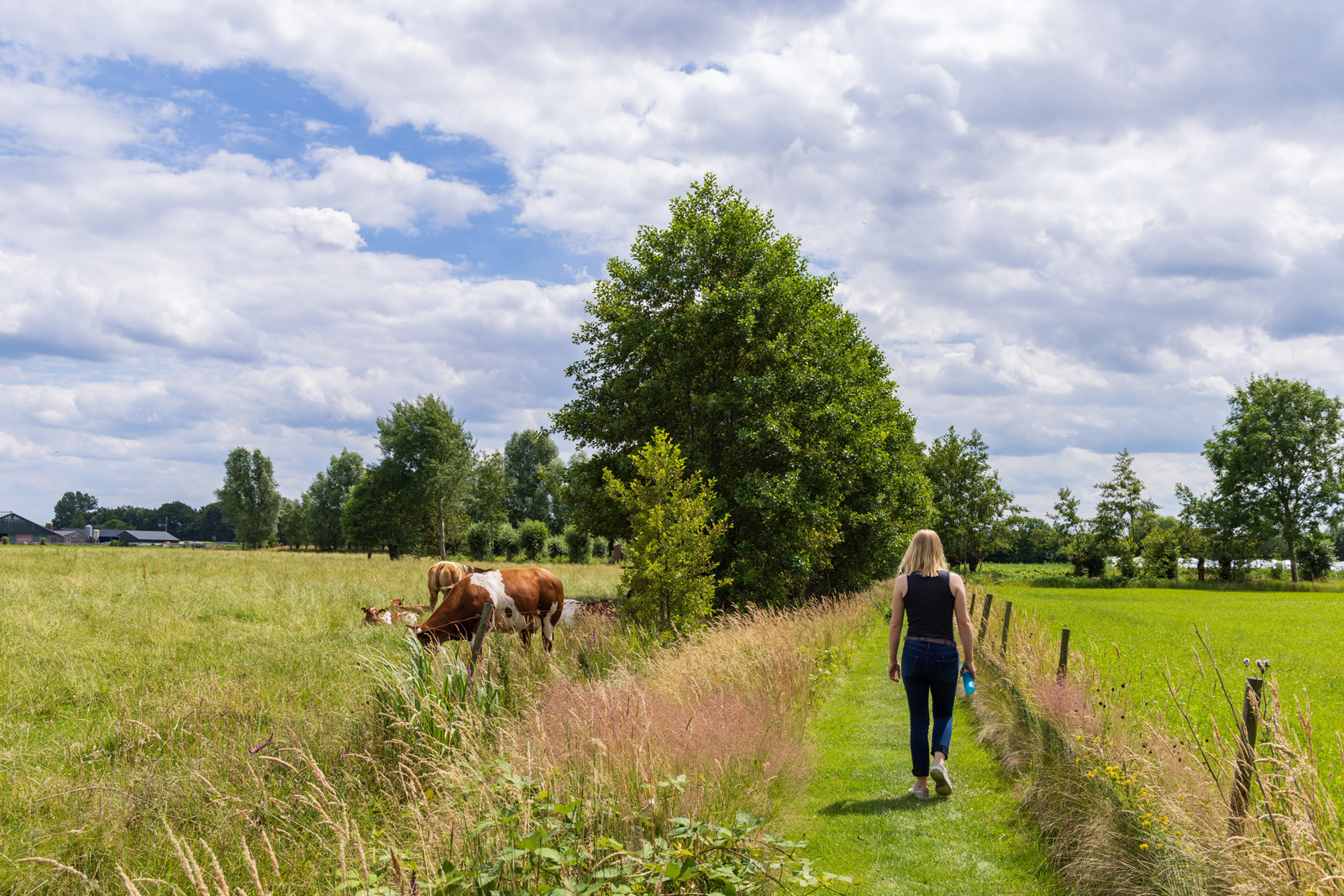 Hier moet je aan denken bij het wandelen op onverharde paden weiland