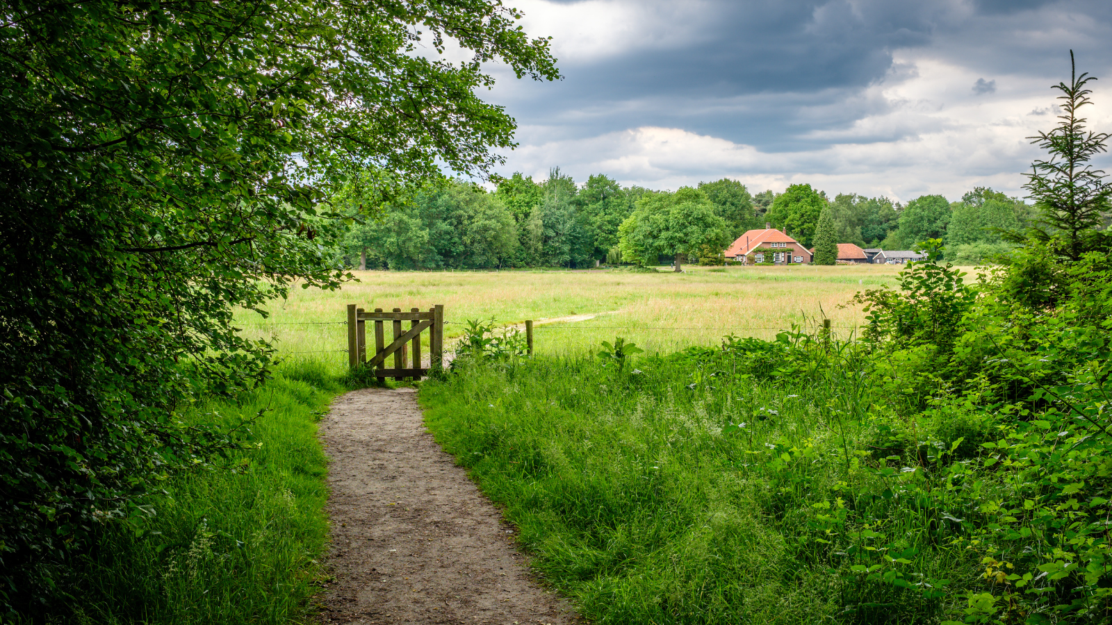 Wandelvakantie Overijssel mooiste wandelreizen Nederland