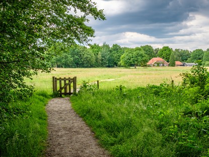 Wandelvakantie Overijssel mooiste wandelreizen Nederland