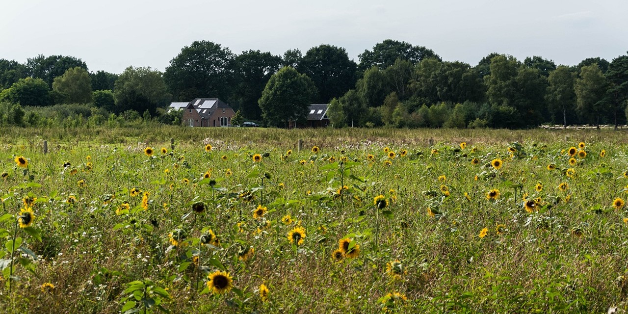 Header | Wandelen in minder bekende natuurgebieden: Oost-Nederland