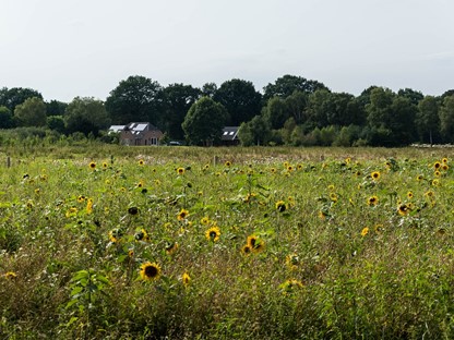Header | Wandelen in minder bekende natuurgebieden: Oost-Nederland