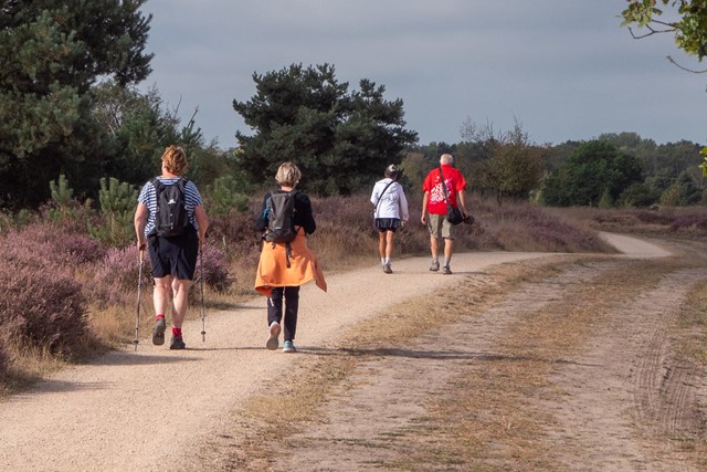 OLAT Wandeldagen (1)