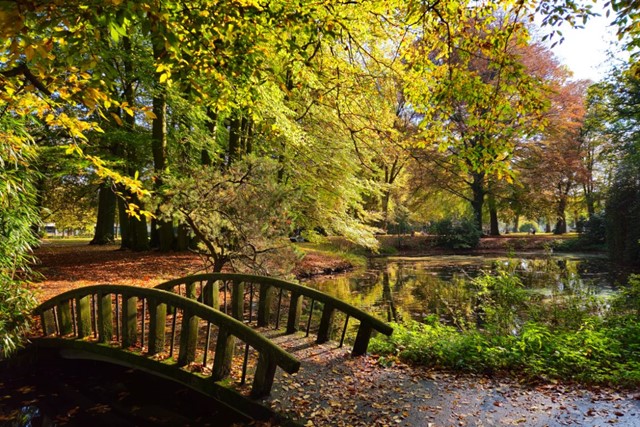 Tussen stad en groen: kloosterrondwandeling Oosterhout