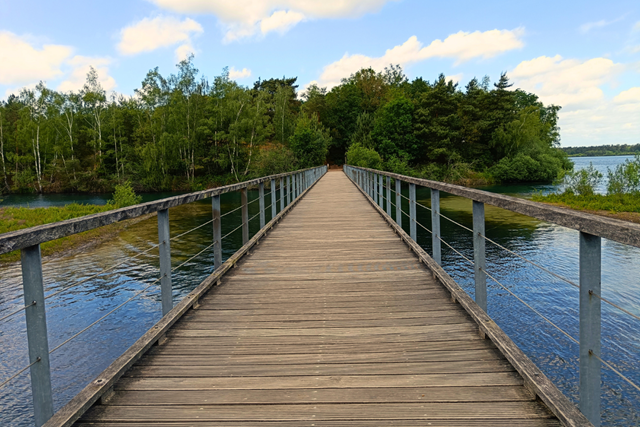 Wandelroute Nationaal Park De Maasduinen Reindersmeer Loopbrug