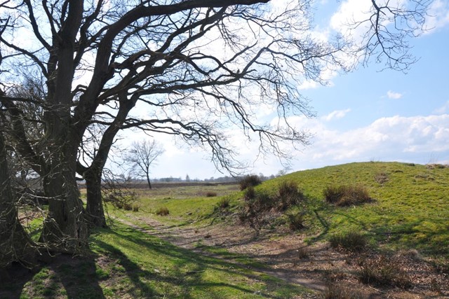 Wandelroute Balloërveld Balloo