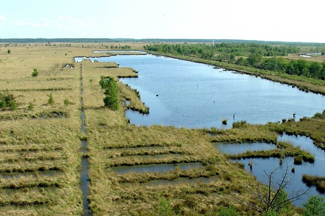Wandelroute Fochteloërveen Uitkijktoren De Zeven