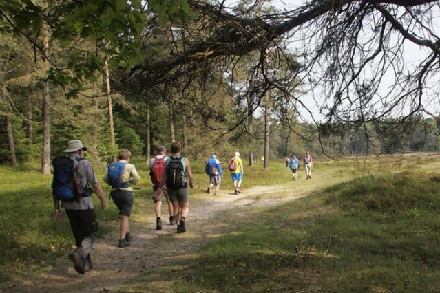Doe mee met de 29e Drents Friese Woud wandelvierdaagse; wandelen in de natuur.