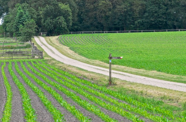 Afbeelding Het Marskramerpad