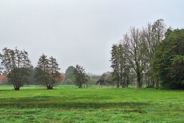Landgoedwandelingen: Terug in de tijd op Landgoed Schaffelaar