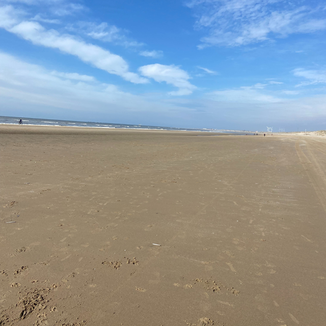Tussen Stad En Groen Van Haarlem Naar De Kennemer Duinen: Strand Haarlem