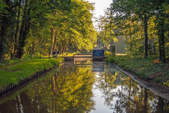 Helmerhoek en houwbeek