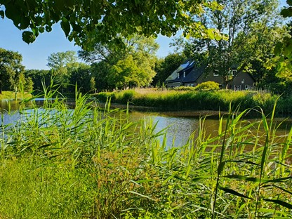 Het Dommelpad Watermolenroute Etappe 3 Dommelen Eindhoven